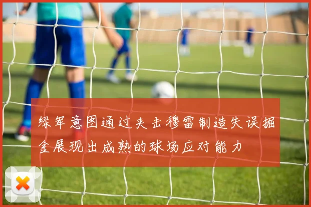 绿军意图通过夹击穆雷制造失误掘金展现出成熟的球场应对能力